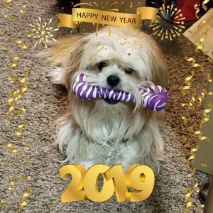 Meet your Posher, Dianna